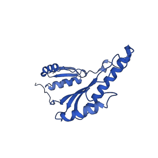 8398_5tcp_J_v1-5
Near-atomic resolution cryo-EM structure of the periplasmic domains of PrgH and PrgK