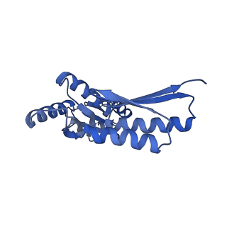 8398_5tcp_K_v1-5
Near-atomic resolution cryo-EM structure of the periplasmic domains of PrgH and PrgK