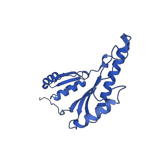 8398_5tcp_L_v1-5
Near-atomic resolution cryo-EM structure of the periplasmic domains of PrgH and PrgK