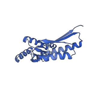 8398_5tcp_M_v1-5
Near-atomic resolution cryo-EM structure of the periplasmic domains of PrgH and PrgK