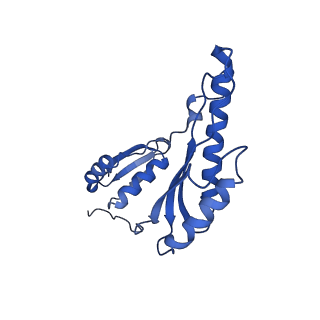 8398_5tcp_N_v1-5
Near-atomic resolution cryo-EM structure of the periplasmic domains of PrgH and PrgK