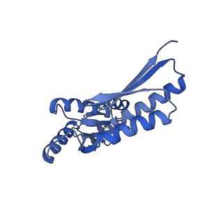 8398_5tcp_O_v1-5
Near-atomic resolution cryo-EM structure of the periplasmic domains of PrgH and PrgK