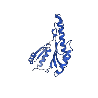 8398_5tcp_P_v1-5
Near-atomic resolution cryo-EM structure of the periplasmic domains of PrgH and PrgK