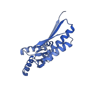 8398_5tcp_Q_v1-5
Near-atomic resolution cryo-EM structure of the periplasmic domains of PrgH and PrgK