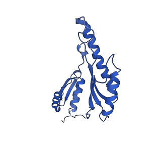 8398_5tcp_R_v1-4
Near-atomic resolution cryo-EM structure of the periplasmic domains of PrgH and PrgK