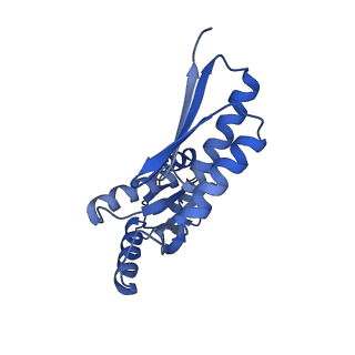 8398_5tcp_S_v1-5
Near-atomic resolution cryo-EM structure of the periplasmic domains of PrgH and PrgK