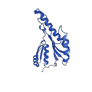 8398_5tcp_T_v1-5
Near-atomic resolution cryo-EM structure of the periplasmic domains of PrgH and PrgK