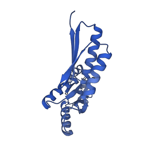 8398_5tcp_U_v1-5
Near-atomic resolution cryo-EM structure of the periplasmic domains of PrgH and PrgK