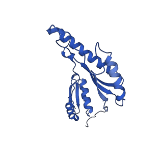 8398_5tcp_V_v1-5
Near-atomic resolution cryo-EM structure of the periplasmic domains of PrgH and PrgK