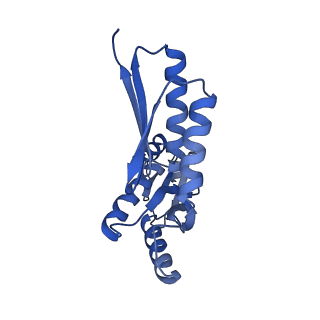 8398_5tcp_W_v1-5
Near-atomic resolution cryo-EM structure of the periplasmic domains of PrgH and PrgK