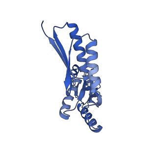 8398_5tcp_Y_v1-5
Near-atomic resolution cryo-EM structure of the periplasmic domains of PrgH and PrgK