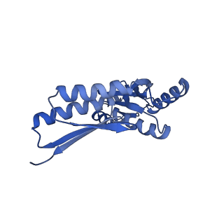 8398_5tcp_b_v1-5
Near-atomic resolution cryo-EM structure of the periplasmic domains of PrgH and PrgK