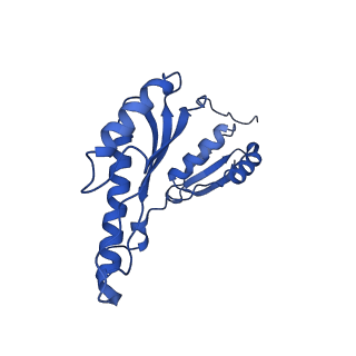 8398_5tcp_c_v1-5
Near-atomic resolution cryo-EM structure of the periplasmic domains of PrgH and PrgK