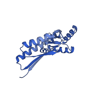 8398_5tcp_d_v1-5
Near-atomic resolution cryo-EM structure of the periplasmic domains of PrgH and PrgK