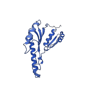 8398_5tcp_e_v1-5
Near-atomic resolution cryo-EM structure of the periplasmic domains of PrgH and PrgK