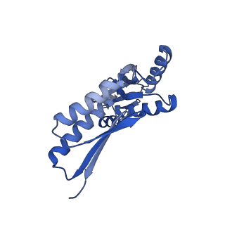 8398_5tcp_f_v1-5
Near-atomic resolution cryo-EM structure of the periplasmic domains of PrgH and PrgK