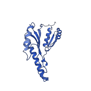 8398_5tcp_g_v1-5
Near-atomic resolution cryo-EM structure of the periplasmic domains of PrgH and PrgK