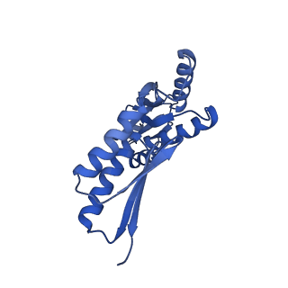 8398_5tcp_h_v1-5
Near-atomic resolution cryo-EM structure of the periplasmic domains of PrgH and PrgK