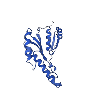 8398_5tcp_i_v1-5
Near-atomic resolution cryo-EM structure of the periplasmic domains of PrgH and PrgK