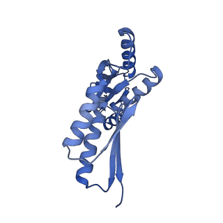 8398_5tcp_j_v1-5
Near-atomic resolution cryo-EM structure of the periplasmic domains of PrgH and PrgK