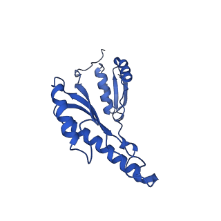 8398_5tcp_k_v1-5
Near-atomic resolution cryo-EM structure of the periplasmic domains of PrgH and PrgK