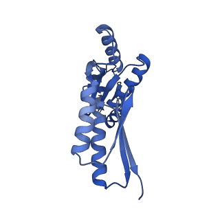 8398_5tcp_l_v1-5
Near-atomic resolution cryo-EM structure of the periplasmic domains of PrgH and PrgK