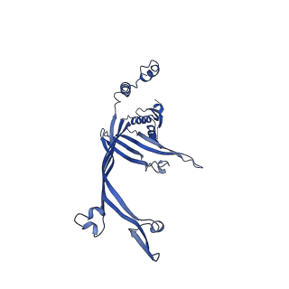 8399_5tcq_B_v1-4
Near-atomic resolution cryo-EM structure of the Salmonella SPI-1 type III secretion injectisome secretin InvG