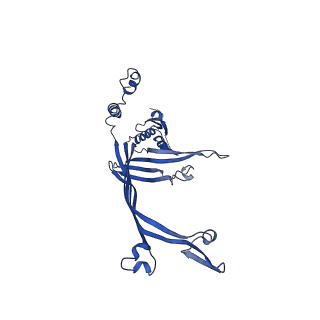 8399_5tcq_C_v1-5
Near-atomic resolution cryo-EM structure of the Salmonella SPI-1 type III secretion injectisome secretin InvG