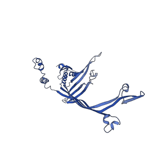 8399_5tcq_E_v1-5
Near-atomic resolution cryo-EM structure of the Salmonella SPI-1 type III secretion injectisome secretin InvG