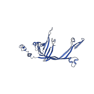 8399_5tcq_F_v1-5
Near-atomic resolution cryo-EM structure of the Salmonella SPI-1 type III secretion injectisome secretin InvG