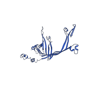 8399_5tcq_G_v1-5
Near-atomic resolution cryo-EM structure of the Salmonella SPI-1 type III secretion injectisome secretin InvG