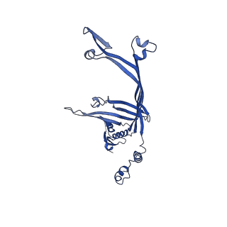 8399_5tcq_J_v1-4
Near-atomic resolution cryo-EM structure of the Salmonella SPI-1 type III secretion injectisome secretin InvG