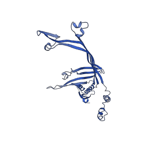 8399_5tcq_K_v1-5
Near-atomic resolution cryo-EM structure of the Salmonella SPI-1 type III secretion injectisome secretin InvG