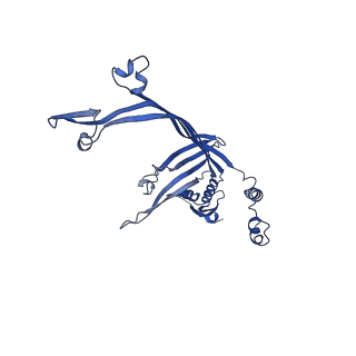 8399_5tcq_L_v1-5
Near-atomic resolution cryo-EM structure of the Salmonella SPI-1 type III secretion injectisome secretin InvG