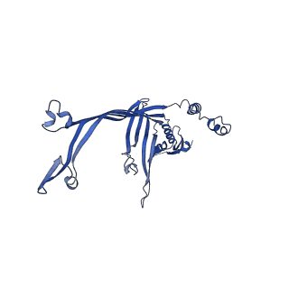 8399_5tcq_N_v1-5
Near-atomic resolution cryo-EM structure of the Salmonella SPI-1 type III secretion injectisome secretin InvG