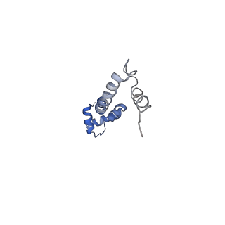 8402_5tcu_L3_v1-2
Methicillin sensitive Staphylococcus aureus 70S ribosome