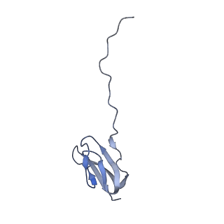 8402_5tcu_L9_v1-2
Methicillin sensitive Staphylococcus aureus 70S ribosome