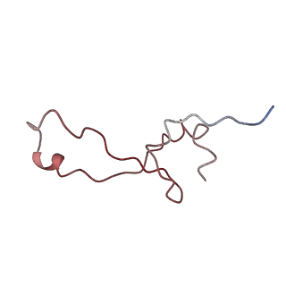 8402_5tcu_LH_v1-2
Methicillin sensitive Staphylococcus aureus 70S ribosome
