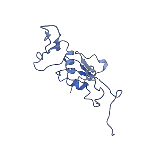 8402_5tcu_LM_v1-2
Methicillin sensitive Staphylococcus aureus 70S ribosome