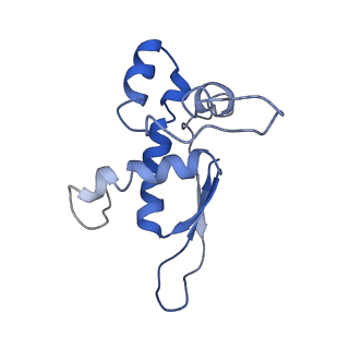 8402_5tcu_LQ_v1-2
Methicillin sensitive Staphylococcus aureus 70S ribosome