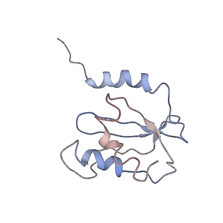 8402_5tcu_LR_v1-2
Methicillin sensitive Staphylococcus aureus 70S ribosome