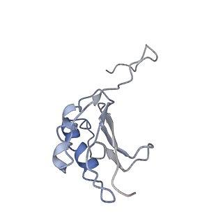 8402_5tcu_S2_v1-2
Methicillin sensitive Staphylococcus aureus 70S ribosome