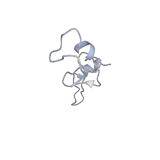 8402_5tcu_S5_v1-2
Methicillin sensitive Staphylococcus aureus 70S ribosome