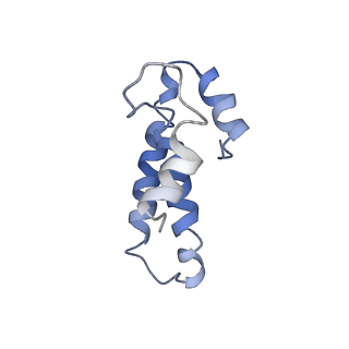 8402_5tcu_S6_v1-2
Methicillin sensitive Staphylococcus aureus 70S ribosome
