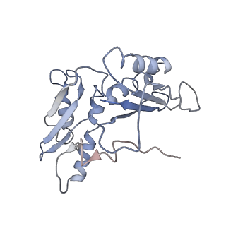 8402_5tcu_SB_v1-2
Methicillin sensitive Staphylococcus aureus 70S ribosome