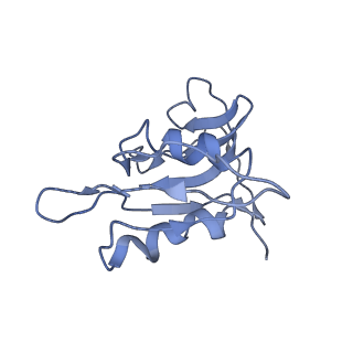 8402_5tcu_SF_v1-2
Methicillin sensitive Staphylococcus aureus 70S ribosome