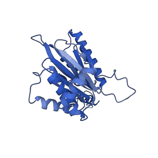 10463_6td5_A_v1-2
Leishmania tarentolae proteasome 20S subunit complexed with LXE408 and bortezomib
