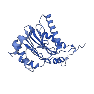 10463_6td5_B_v1-2
Leishmania tarentolae proteasome 20S subunit complexed with LXE408 and bortezomib
