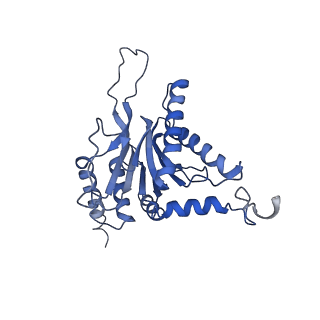 10463_6td5_C_v1-2
Leishmania tarentolae proteasome 20S subunit complexed with LXE408 and bortezomib