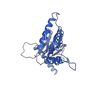 10463_6td5_D_v1-2
Leishmania tarentolae proteasome 20S subunit complexed with LXE408 and bortezomib